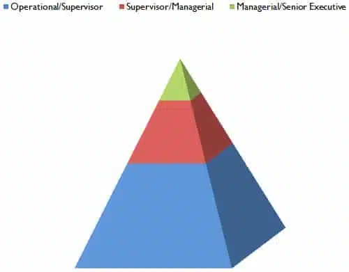 CareerSupport365 3D 3-tier pyramid