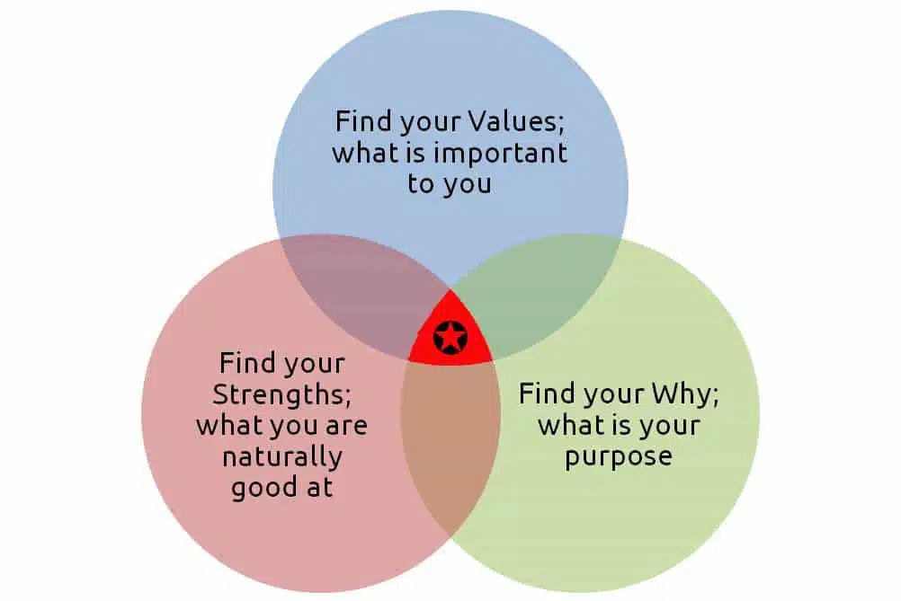 Venn diagram_Career Sweet Spot Part 1: Find Your Values | CareerSupport365