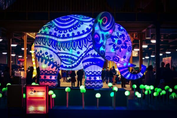 Career365_Stay Interview_vivid elephant lighting display